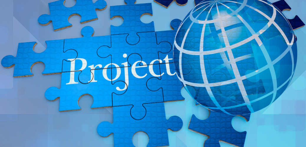 Project & Program Management